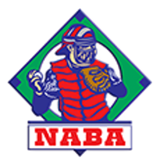Adult Baseball Tournaments 2024MSBL, NABA and more